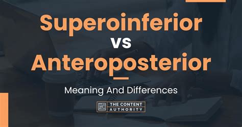 anteroposterior|anteroposterior vs superoinferior.